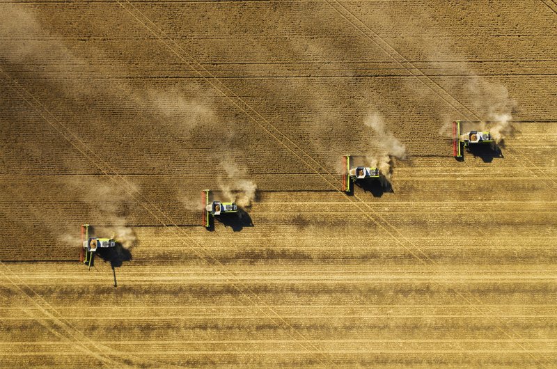 Widok z lotu ptaka wielu kombajnów pracujących równolegle, zbierających plony na brązowym polu