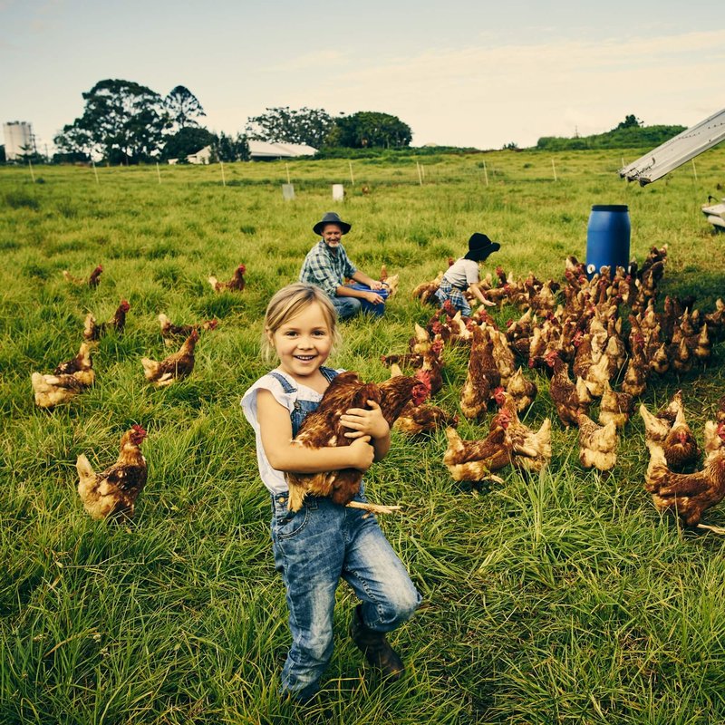 Uśmiechnięta dziewczynka z kurą na rękach na wolnowybiegowej fermie. Fot. iStock